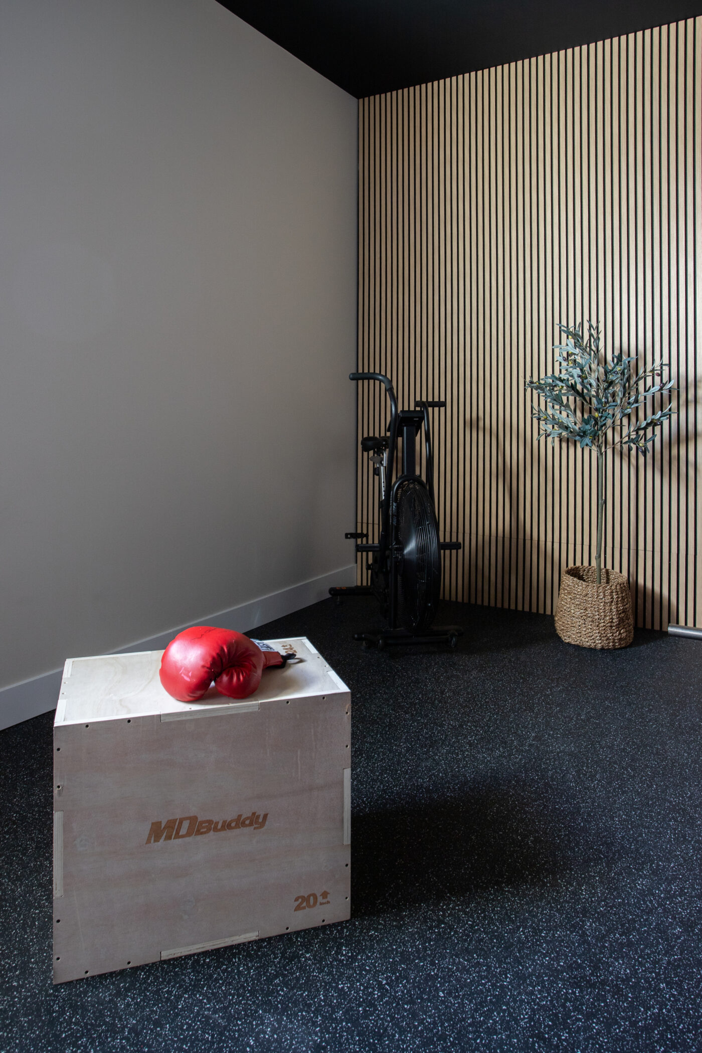 Custom fitness room featuring moody dark walls and sleek flooring in Kamloops home